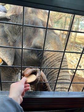 那須サファリパークに投稿された画像（2025/1/20）