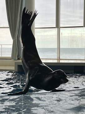 アクアワールド茨城県大洗水族館に投稿された画像（2025/1/20）