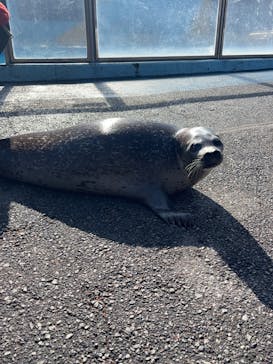 東武動物公園に投稿された画像（2025/1/20）