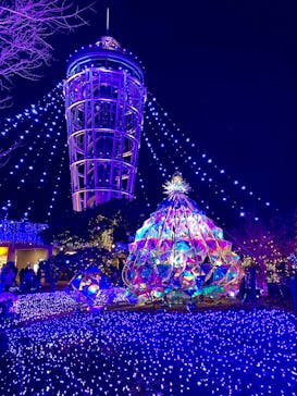 江の島シーキャンドルに投稿された画像（2025/1/20）