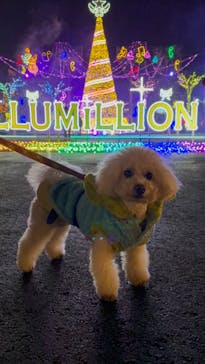 さがみ湖MORI MORIに投稿された画像（2025/1/20）