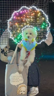 さがみ湖MORI MORIに投稿された画像（2025/1/20）