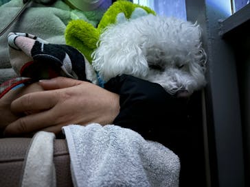 さがみ湖MORI MORIに投稿された画像（2025/1/20）