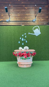 さがみ湖MORI MORIに投稿された画像（2025/1/20）