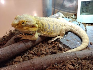 Moff animal cafe イオンモール幕張新都心店に投稿された画像（2025/1/20）