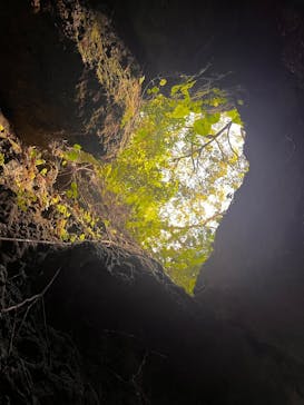 CAVE OKINAWAに投稿された画像（2025/1/20）