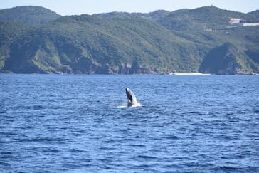 DRIFTER（ドリフター）に投稿された画像（2025/1/21）