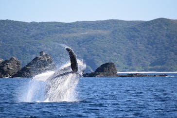 DRIFTER（ドリフター）に投稿された画像（2025/1/21）