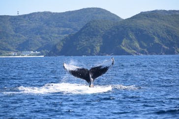 DRIFTER（ドリフター）に投稿された画像（2025/1/21）