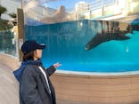 サンシャイン水族館に投稿された画像（2025/1/21）