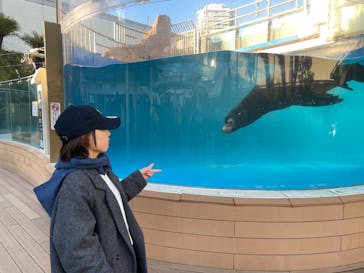 サンシャイン水族館に投稿された画像（2025/1/21）