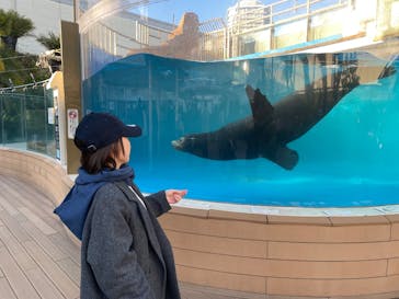 サンシャイン水族館に投稿された画像（2025/1/21）