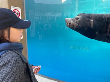 サンシャイン水族館に投稿された画像（2025/1/21）