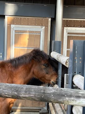 恩賜上野動物園に投稿された画像（2025/1/21）