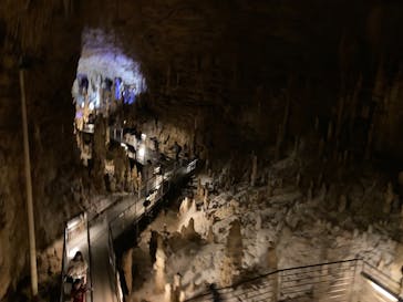 おきなわワールドに投稿された画像（2025/1/21）