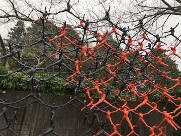 彫刻の森美術館に投稿された画像（2024/12/22）