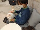 猫カフェモカ　町田ジョルナ店に投稿された画像（2025/1/21）