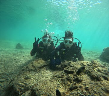 沖縄マリンサービス碧に投稿された画像（2025/1/21）