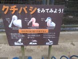 千葉市動物公園に投稿された画像（2025/1/21）