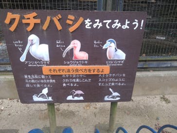 千葉市動物公園に投稿された画像（2025/1/21）