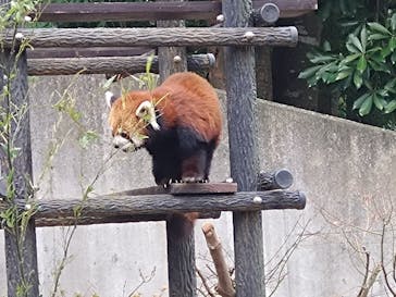 千葉市動物公園に投稿された画像（2025/1/21）