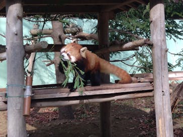 千葉市動物公園に投稿された画像（2025/1/21）