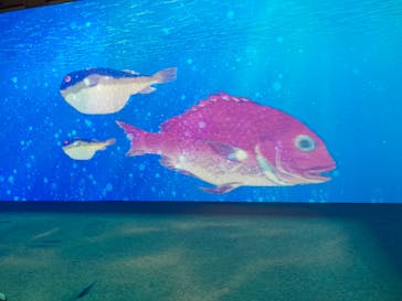 動き出す浮世絵展 TOKYOに投稿された画像（2025/1/21）