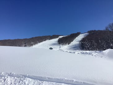 秋田八幡平スキー場に投稿された画像（2025/1/21）