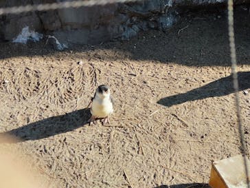 葛西臨海水族園に投稿された画像（2025/1/21）