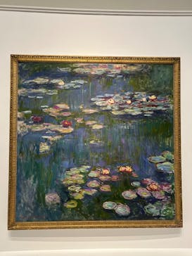 モネ 睡蓮のとき（国立西洋美術館）に投稿された画像（2025/1/21）