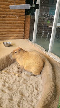 新江ノ島水族館に投稿された画像（2025/1/21）