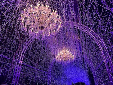 江の島シーキャンドルに投稿された画像（2025/1/21）