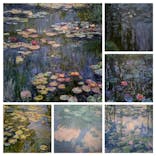 モネ 睡蓮のとき（国立西洋美術館）に投稿された画像（2025/1/21）