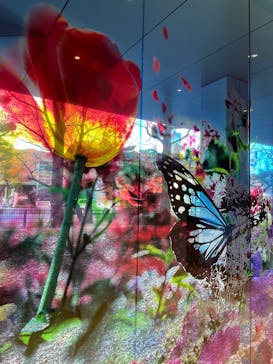 蜷川実花展 with EiM：彼岸の光、此岸の影 NINAGAWA Mika with EiM：Lights of the beyond, Shadows of this worldに投稿された画像（2025/1/21）