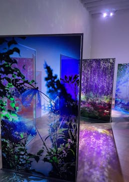 蜷川実花展 with EiM：彼岸の光、此岸の影 NINAGAWA Mika with EiM：Lights of the beyond, Shadows of this worldに投稿された画像（2025/1/21）