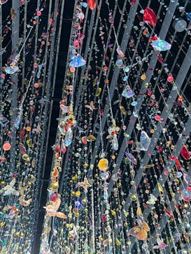 蜷川実花展 with EiM：彼岸の光、此岸の影 NINAGAWA Mika with EiM：Lights of the beyond, Shadows of this worldに投稿された画像（2025/1/21）