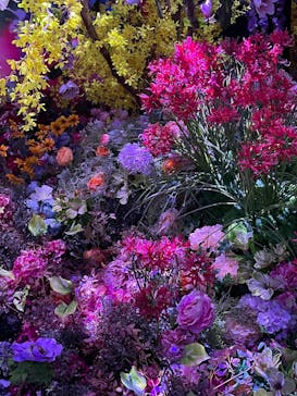 蜷川実花展 with EiM：彼岸の光、此岸の影 NINAGAWA Mika with EiM：Lights of the beyond, Shadows of this worldに投稿された画像（2025/1/21）