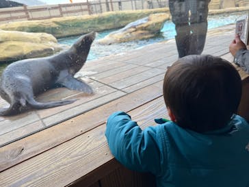 天王寺動物園に投稿された画像（2025/1/21）