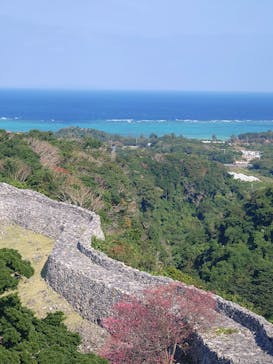 今帰仁城跡に投稿された画像（2025/1/21）