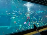 箱根園水族館に投稿された画像（2025/1/21）