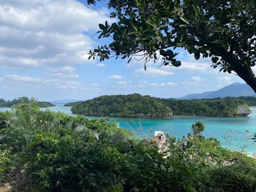 All Blue（オールブルー）に投稿された画像（2025/1/21）