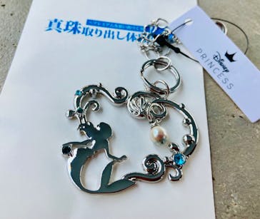 しながわ水族館に投稿された画像（2025/1/21）