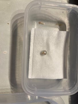 しながわ水族館に投稿された画像（2025/1/21）