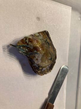 しながわ水族館に投稿された画像（2025/1/21）