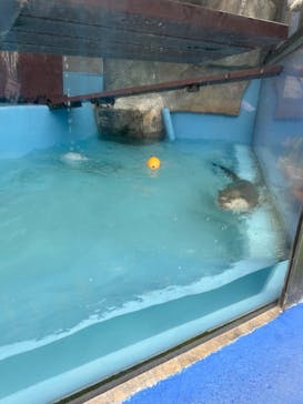 ゼロ距離水族館 伊勢シーパラダイスに投稿された画像（2025/1/21）
