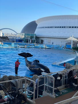 名古屋港水族館に投稿された画像（2025/1/21）