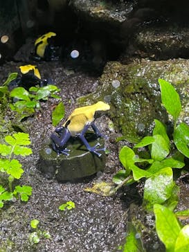 サンシャイン水族館に投稿された画像（2025/1/21）