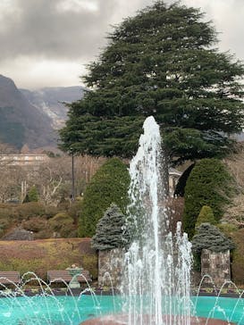 箱根強羅公園に投稿された画像（2025/1/21）