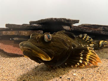 葛西臨海水族園に投稿された画像（2025/1/22）