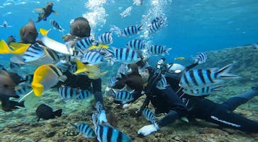 武藤潜水に投稿された画像（2025/1/22）